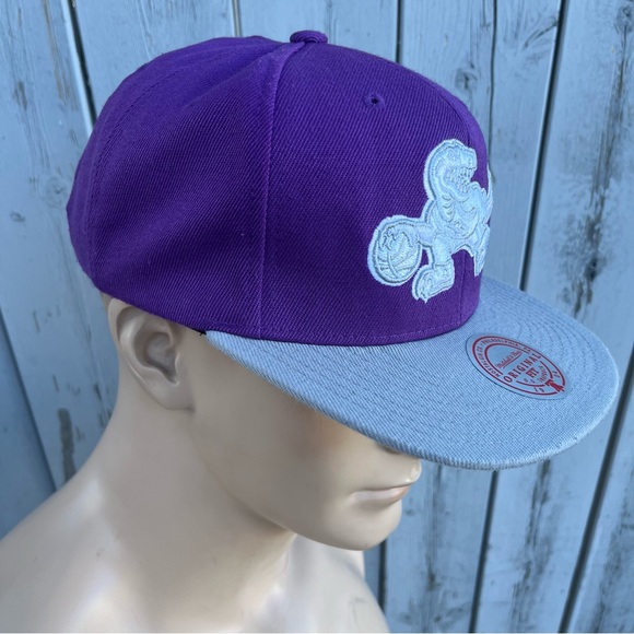 Toronto Raptors SnapBack Hat - Picture 5 of 7